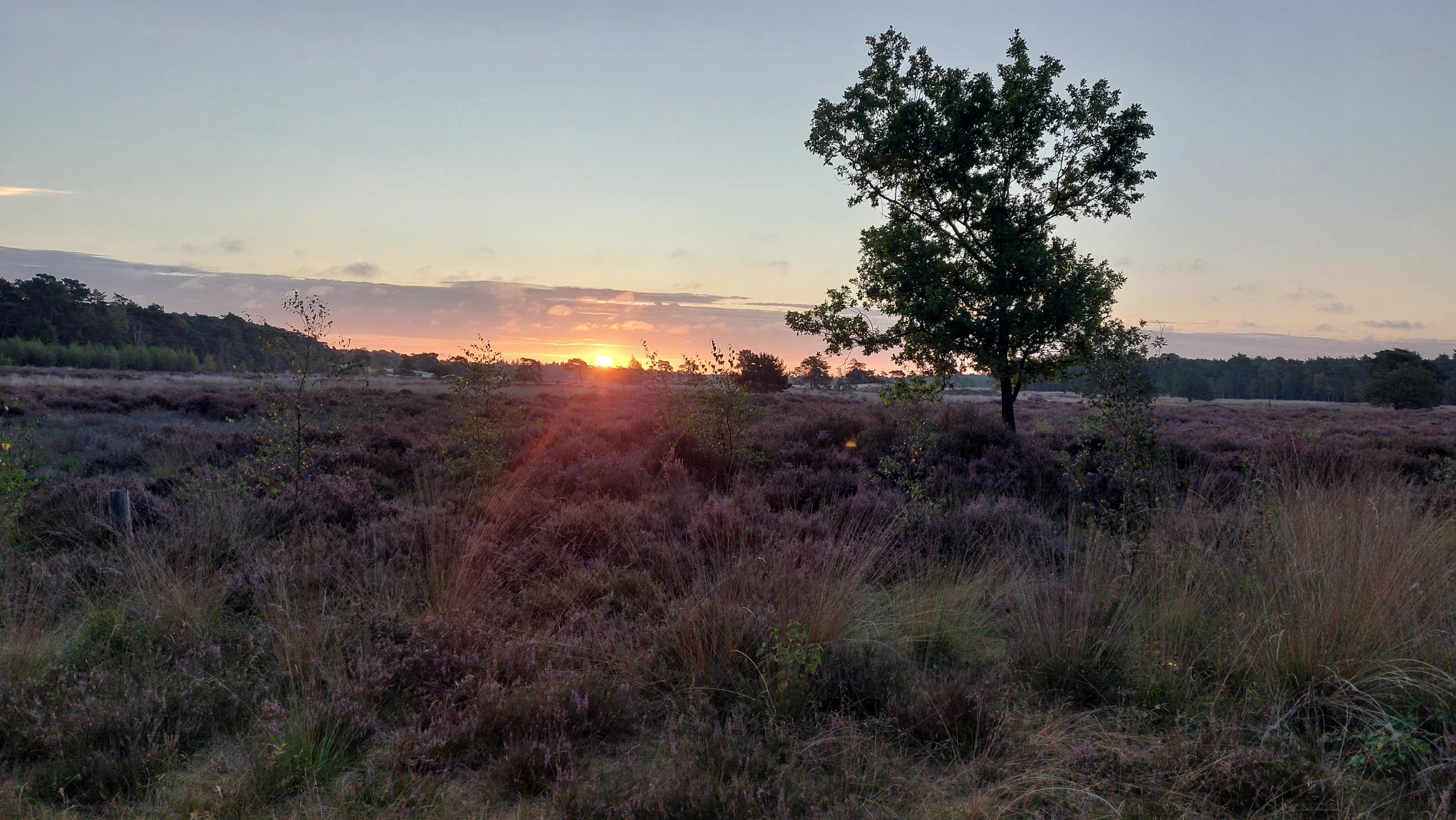 Jansen Groenprojecten